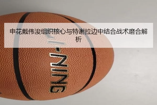 申花戴伟浚组织核心与特谢拉边中结合战术磨合解析