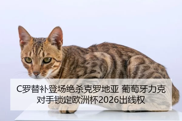 luo-ti-bu-deng-chang-jue-sha-ke-luo-di-ya-pu-tao-ya-li-ke-dui-shou-suo-ding-ou-zhou-bei-chu-xian-quan-2-638.jpg